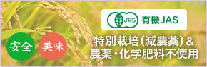 特別栽培米・農薬及び化学肥料不使用のお米